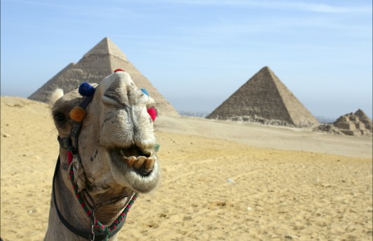 Российские туристы будут расплачиваться рублями в Египте